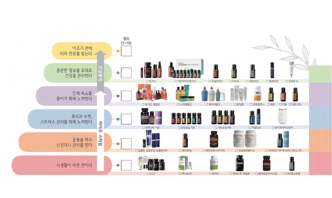 도테라코리아 수정사진 복사.jpg