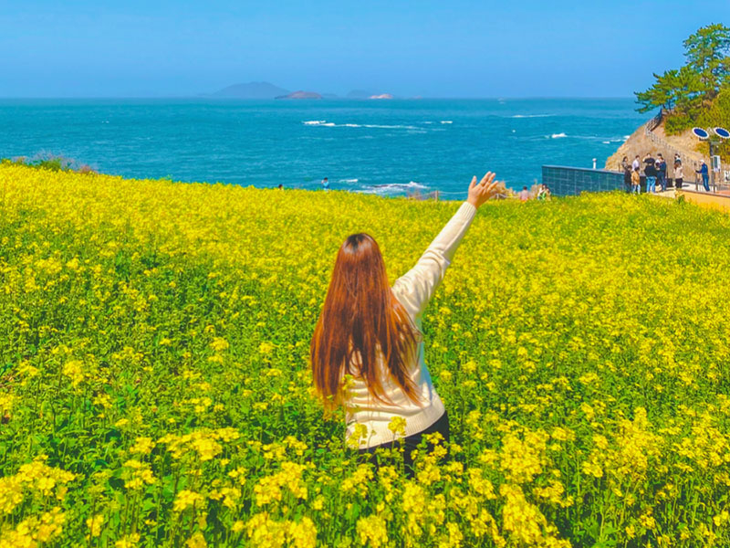 승우여행사.jpg